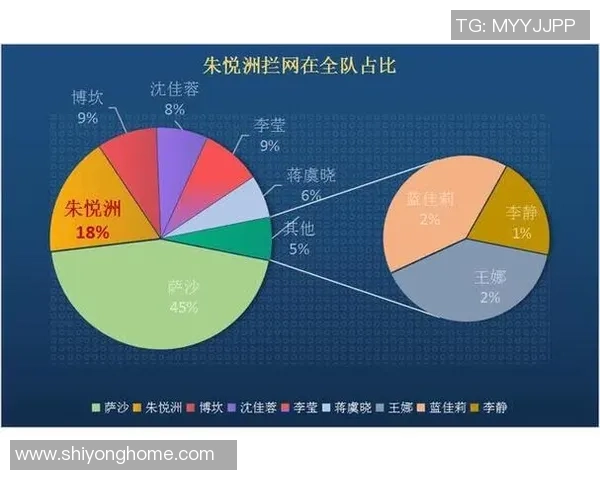南京篮球队配合表现的数据分析与战术研究探讨