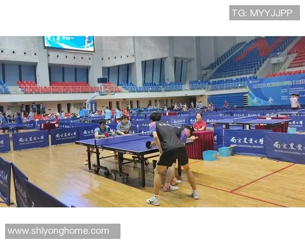 南京乒乓球队的训练与备战揭秘展现乒乓球的魅力与激情