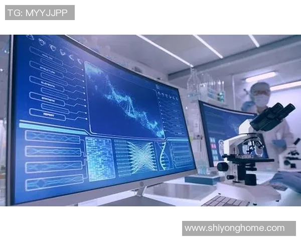 南京篮球队防守革新之路探索与实践的深度分析与展望