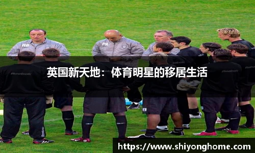 VSport官网入口vsport体育在线官网