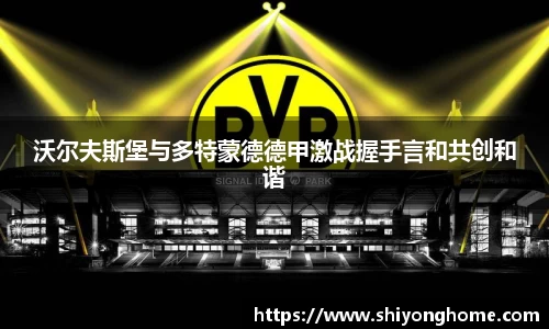 沃尔夫斯堡与多特蒙德德甲激战握手言和共创和谐