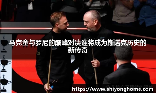 VSport官网入口vsport体育在线官网