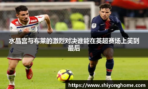 VSport官网入口vsport体育在线官网