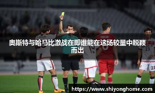 VSport官网入口vsport体育在线官网